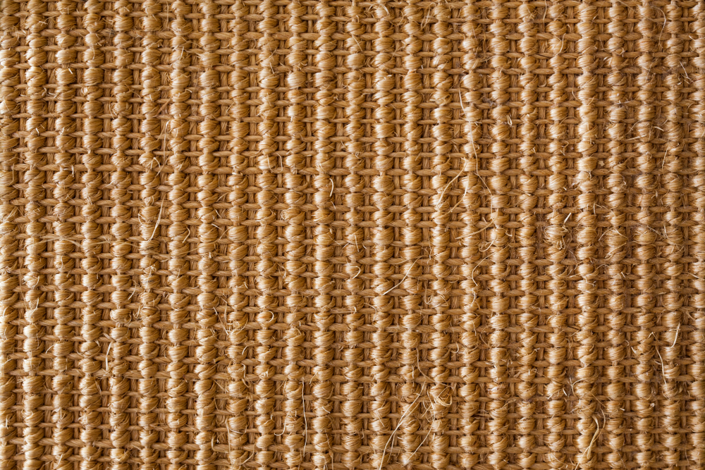 Jonc de mer, sisal, coco